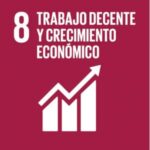 Ir al informe 8 trabajo decente y crecimiento económico