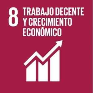 Ir al informe 8 trabajo decente y crecimiento económico
