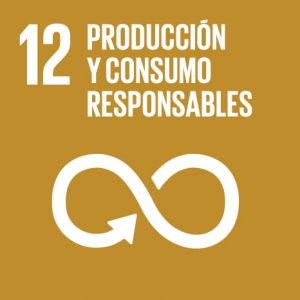Ir al informe 12 producción y consumo responsables