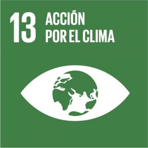 Ir al informe 13 acción por el clima