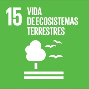 Ir al informe 15 vida de ecosistemas terrestres