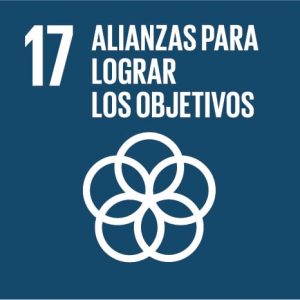 Ir al informe 17 alianzas para lograr objetivos
