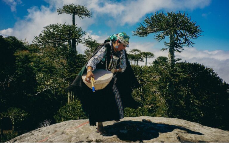 expo-identidad-y-cultura